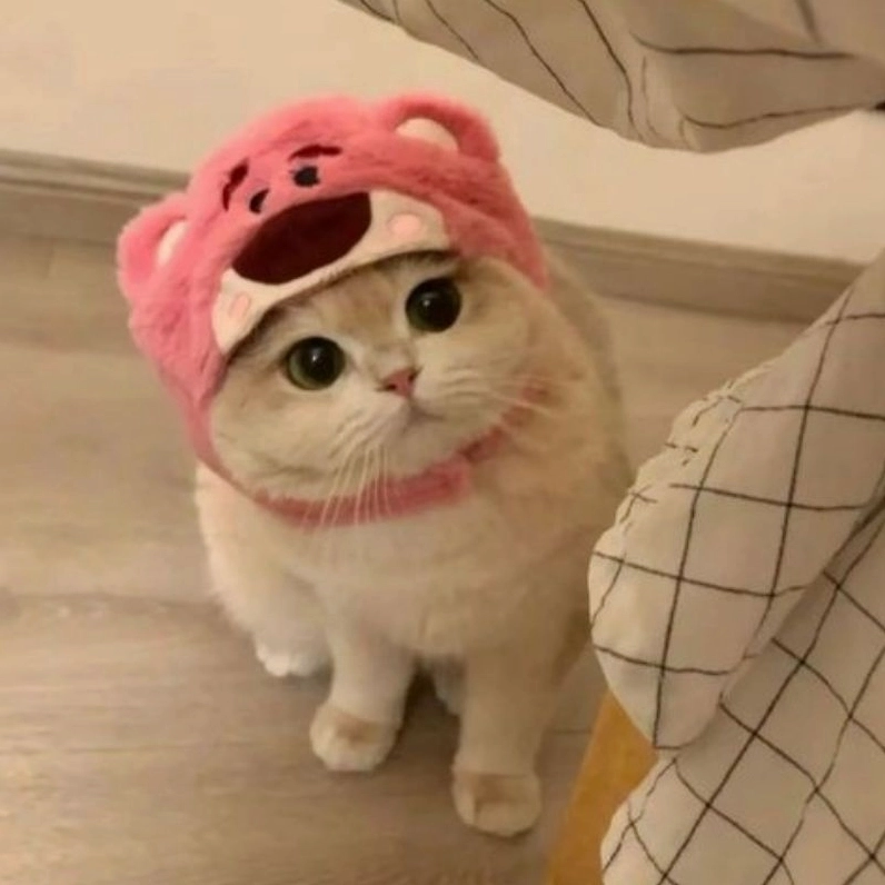 Tải ngay mèo con chibi cute siêu đáng yêu