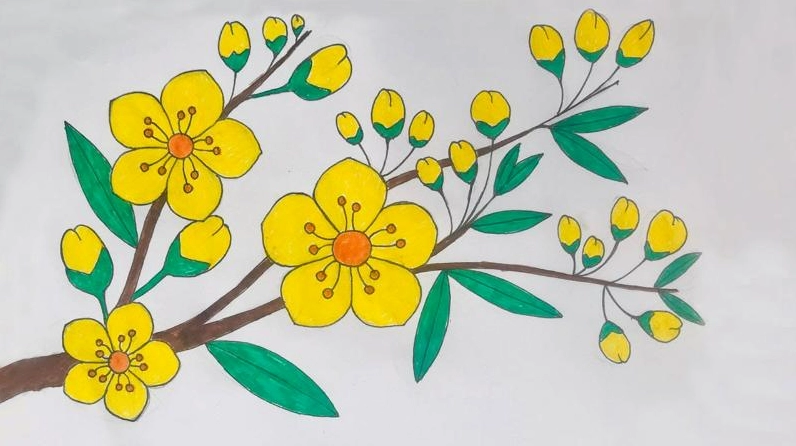 Tại sao trẻ em thích tô tranh hoa mai