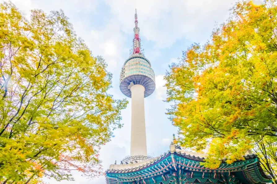 Tầm nhìn toàn cảnh thành phố từ tháp Namsan