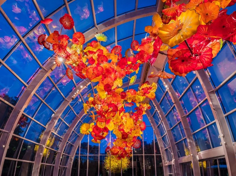 Tháp Space Needle ẩn hiện qua những tán cây mùa thu