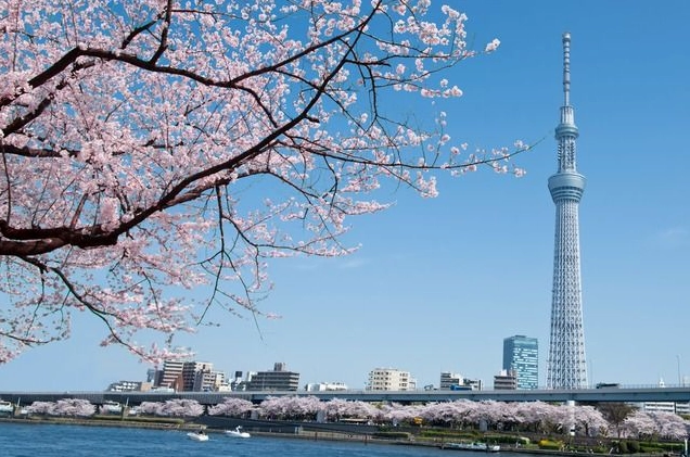 Tháp Tokyo Skytree lấp lánh trong ánh sáng hoàng hôn