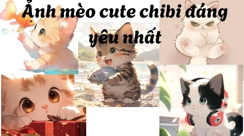 Thế nào là ảnh mèo cute chibi?