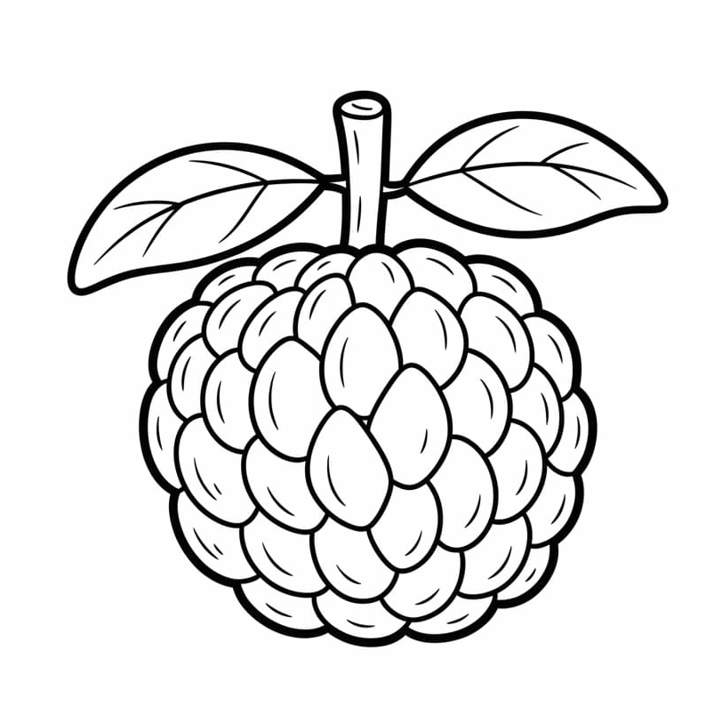 Tô màu một quả na nhỏ xinh xắn