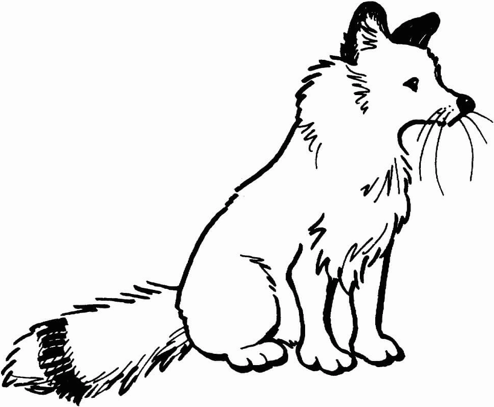 Tranh tô màu 1 con cáo đang ngồi ngắm cảnh