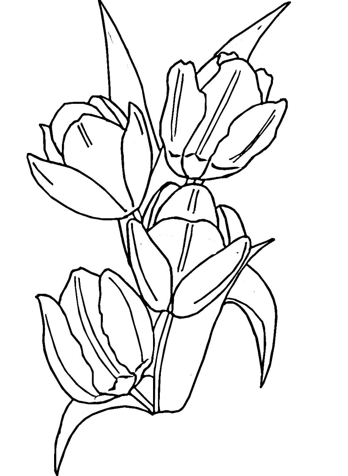 Tranh tô màu 4 bông hoa tu líp tuyệt đẹp