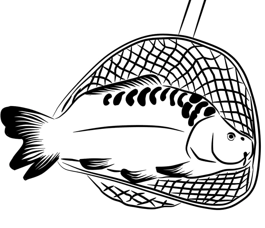 Tranh tô màu bắt con cá chép