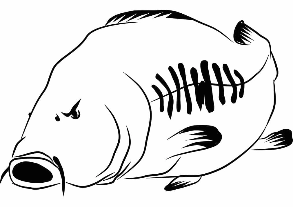 Tranh tô màu biểu cảm chú cá chép đang giận dữ ngộ nghĩnh