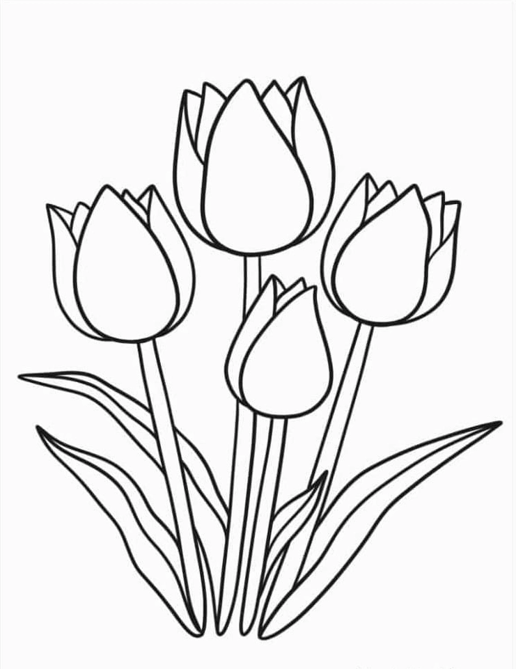 Tranh tô màu bốn bông hoa tulip rực rỡ