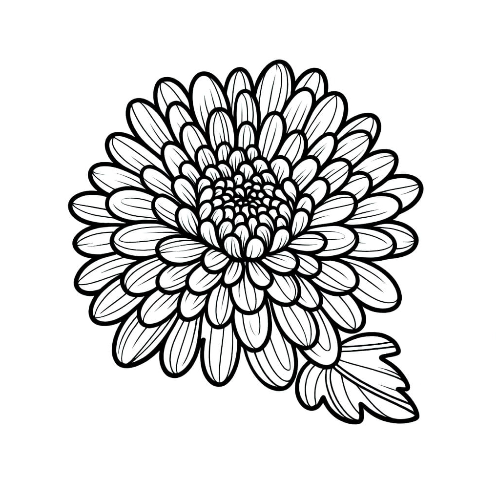 Tranh tô màu bông hoa cúc đơn giản cho bé