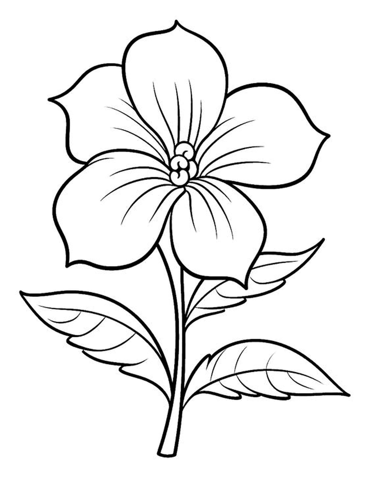 Tranh tô màu bông hoa số 7 lung linh