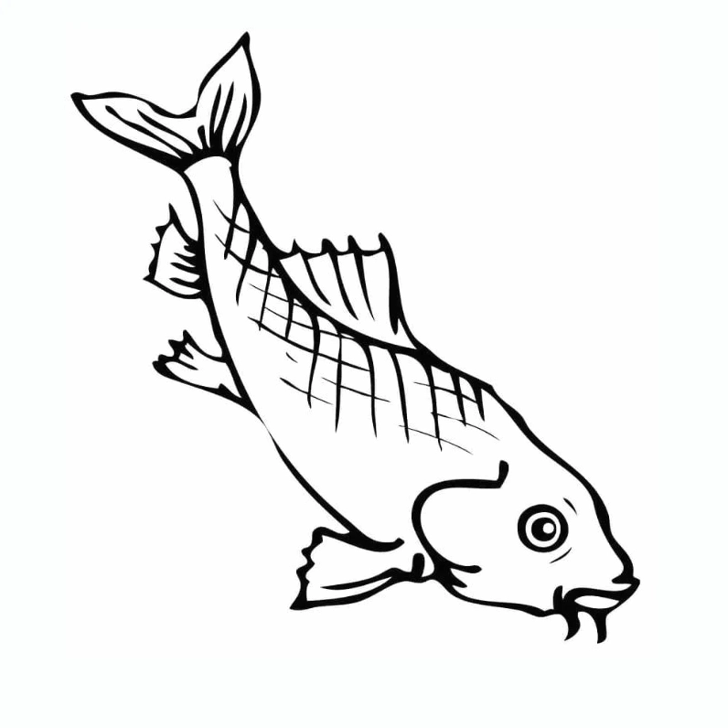 Tranh tô màu cá chép nhảy múa dưới nước