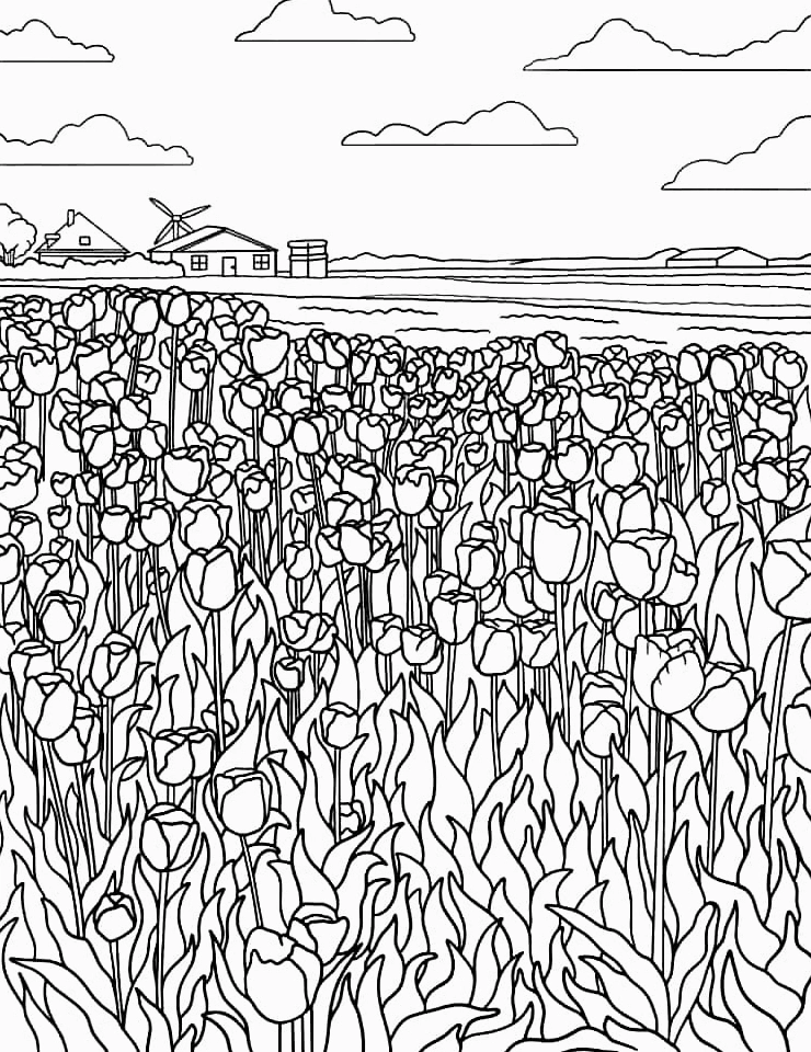Tranh tô màu cánh đồng hoa tulip bao la