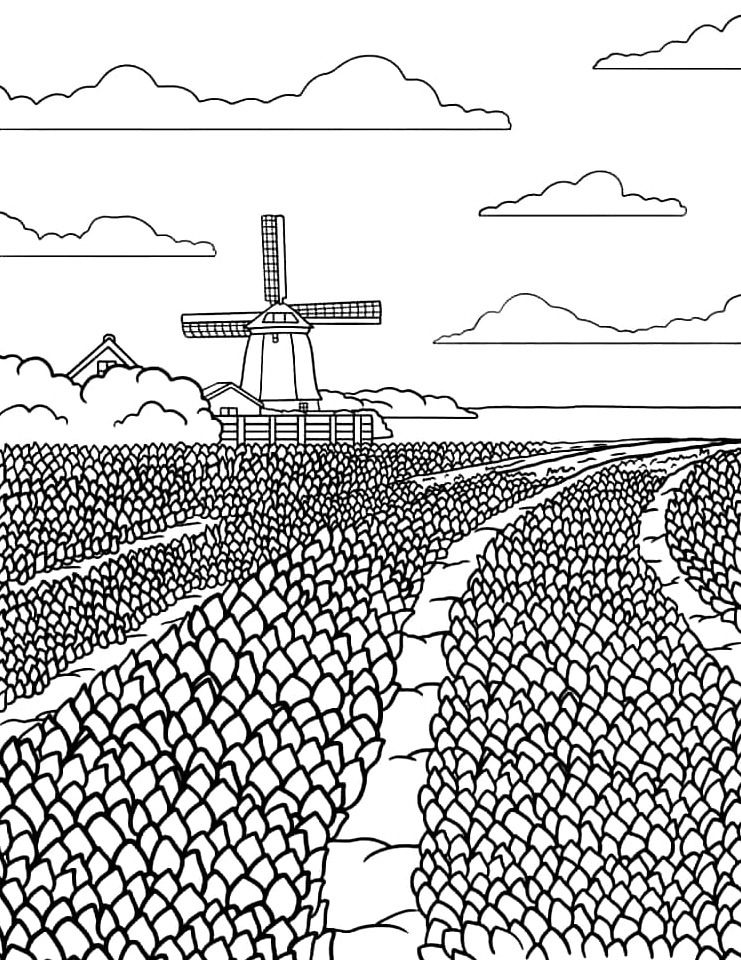 Tranh tô màu cánh đồng hoa tulip rộng lớn khoe sắc