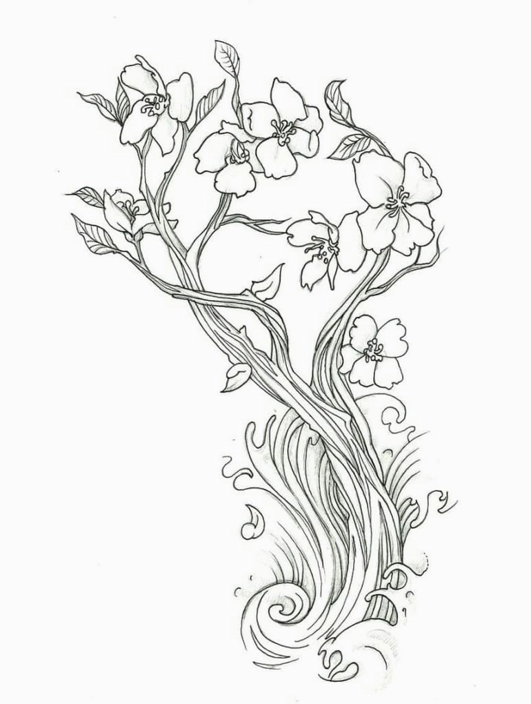 Tranh tô màu cành hoa đào đẹp vươn mình đón nắng