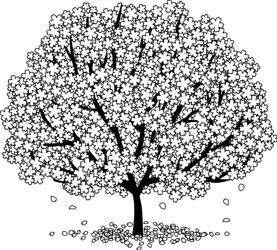 Tranh tô màu cây hoa đào mùa xuân đâm chồi nảy lộc