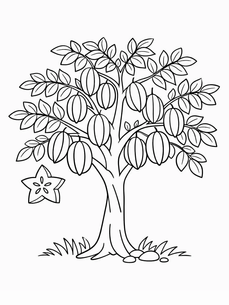 Tranh tô màu cây khế to trĩu quả