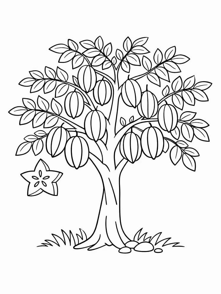 Tranh tô màu cây khế to trĩu quả