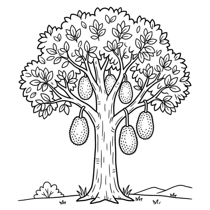 Tranh tô màu cây mít cao lớn với những quả mít khổng lồ