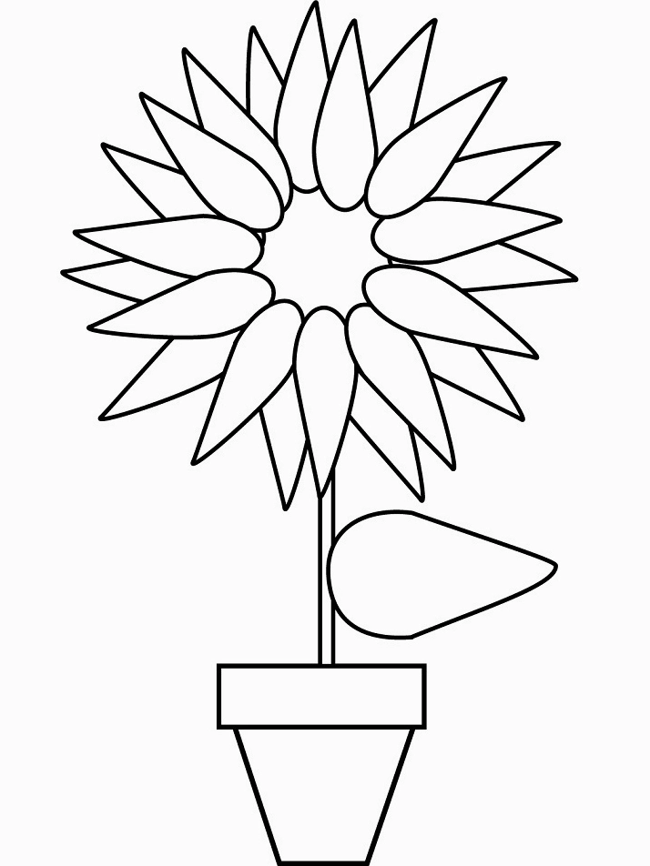 tranh tô màu chậu hoa hướng dương
