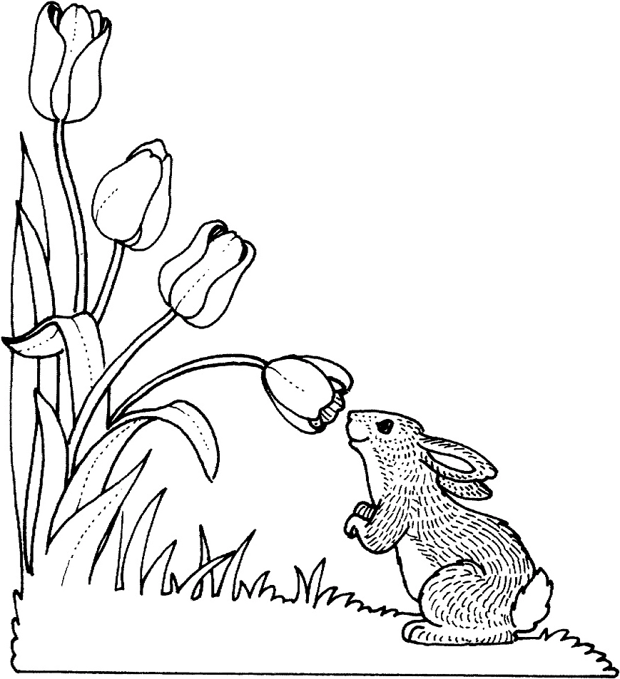 Tranh tô màu chú thỏ ngửi hoa tulip đáng yêu