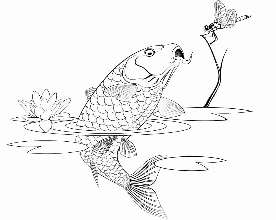 Tranh tô màu con cá chép bắt chuồn chuồn