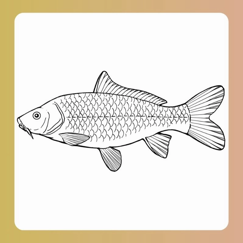 Tranh tô màu con cá chép bơi lượn tuyệt đẹp