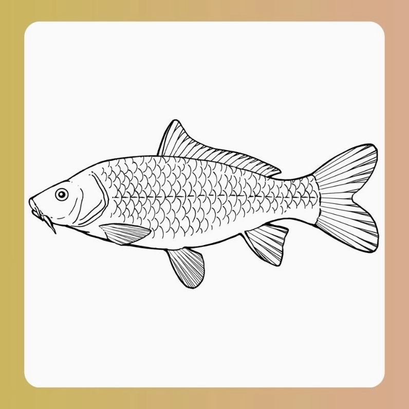 Tranh tô màu con cá chép mẫu số 1