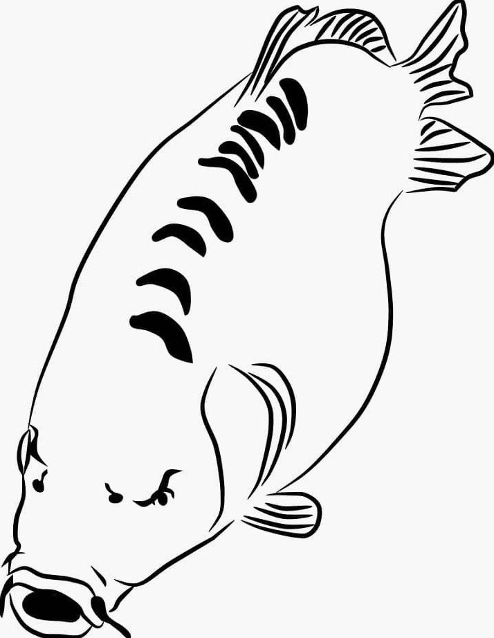 Tranh tô màu con cá chép nét đơn giản dành cho bé mầm non