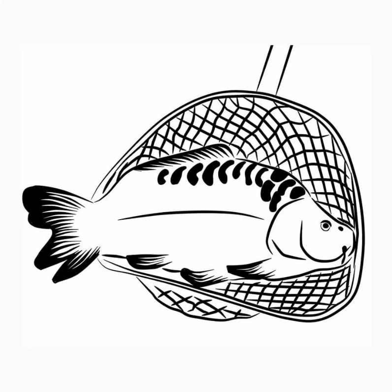 Tranh tô màu con cá chép số 23