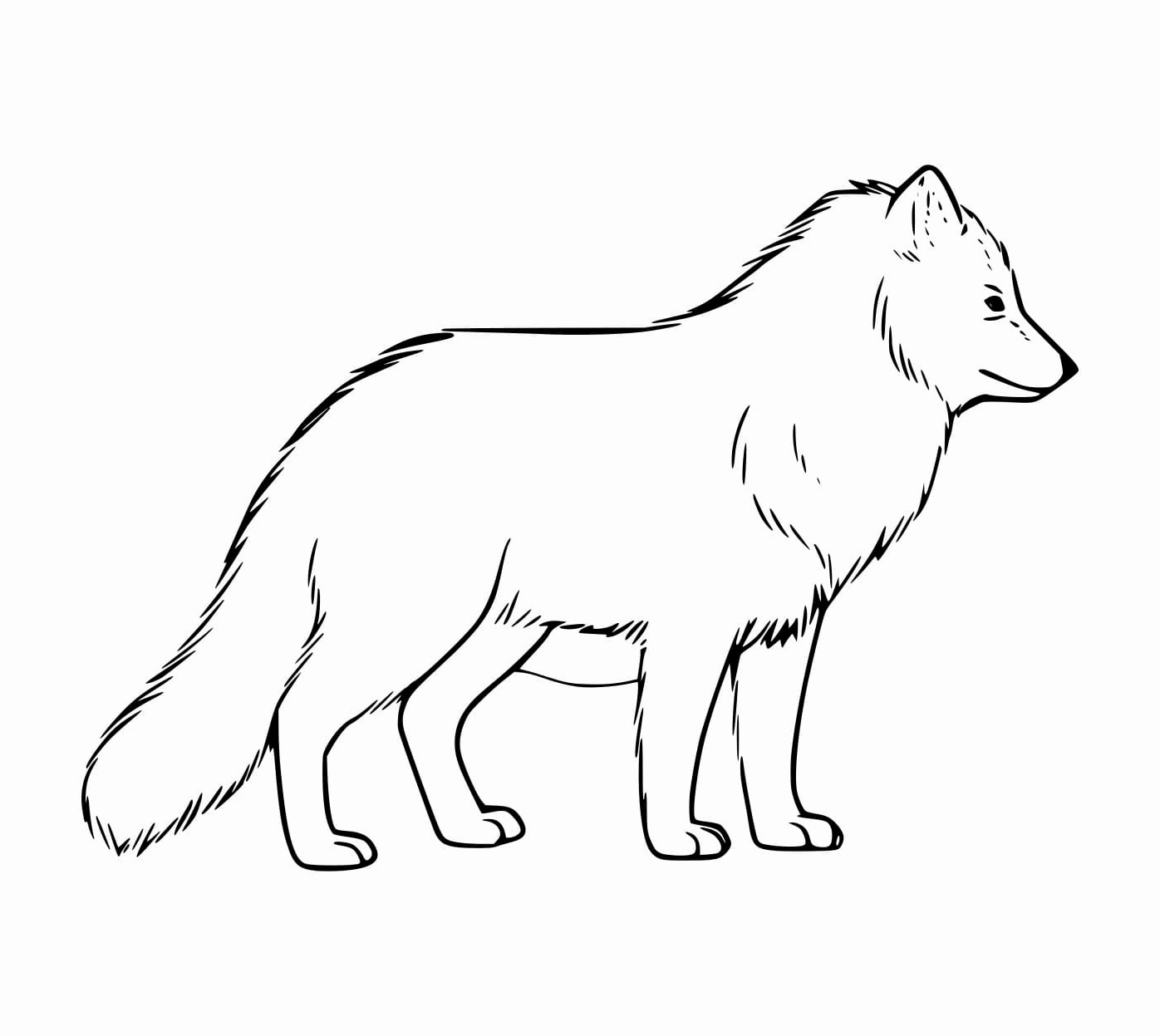 Tranh tô màu con cáo béo tròn ủm đáng yêu