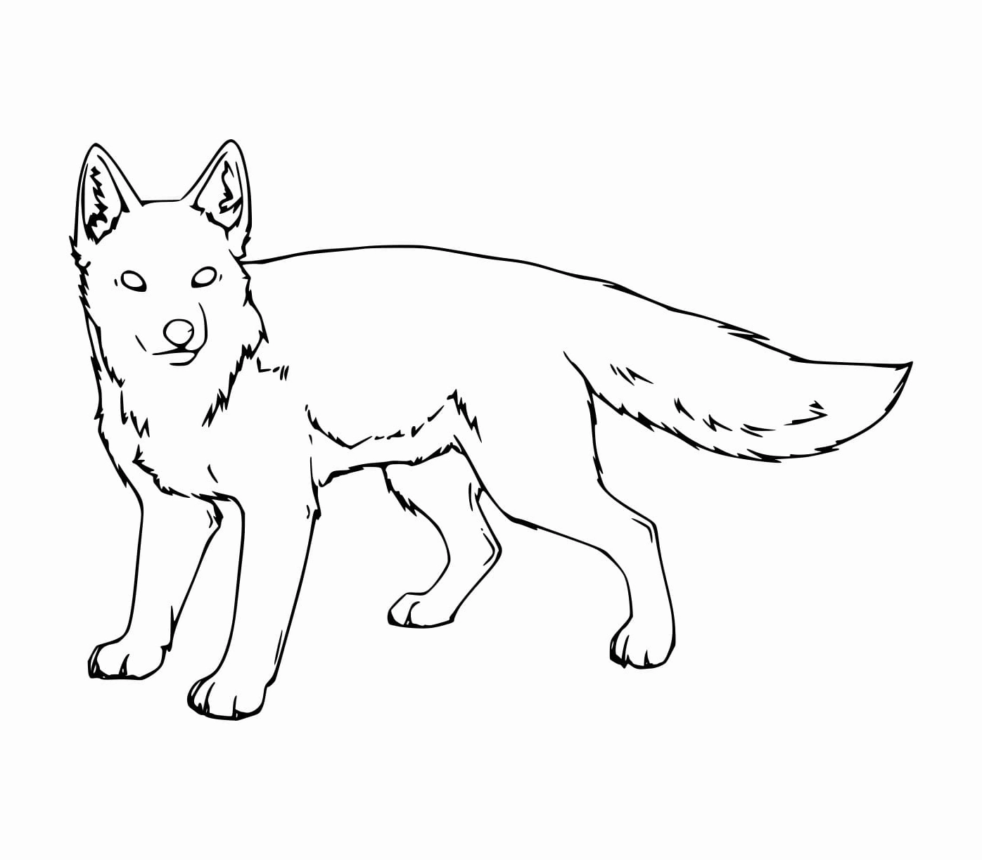 tranh tô màu con cáo culpeo