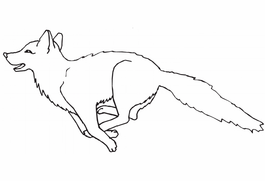 tranh tô màu con cáo đang chạy nhanh