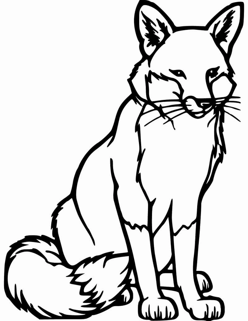 tranh tô màu con cáo ngồi ngoan ngoãn