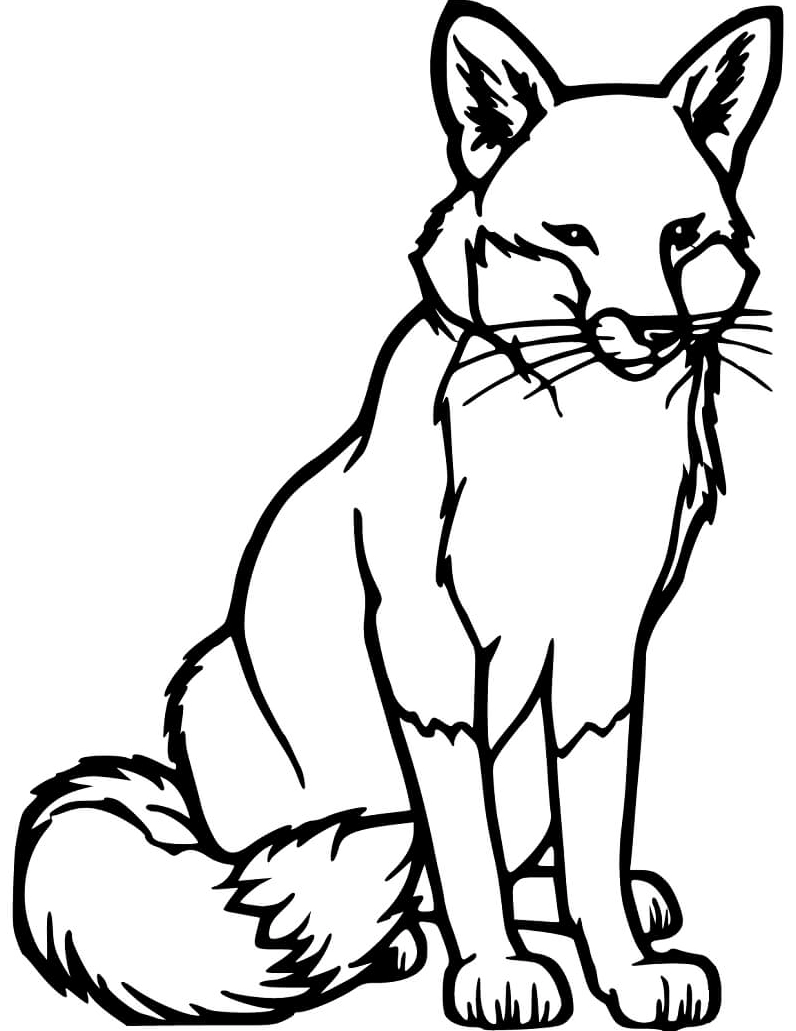Tranh tô màu con cáo ngồi ngoan ngoãn