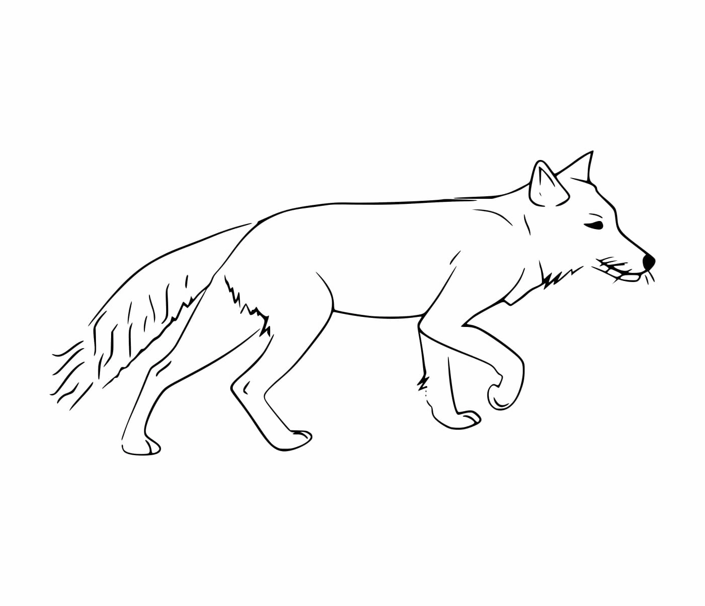 Tranh tô màu con cáo Tây Tạng với khuôn mặt đặc trưng