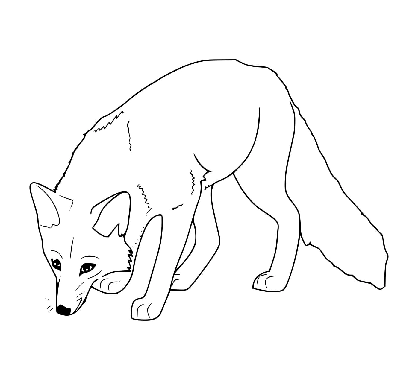 Tranh tô màu con cáo tìm thức ăn trong rừng