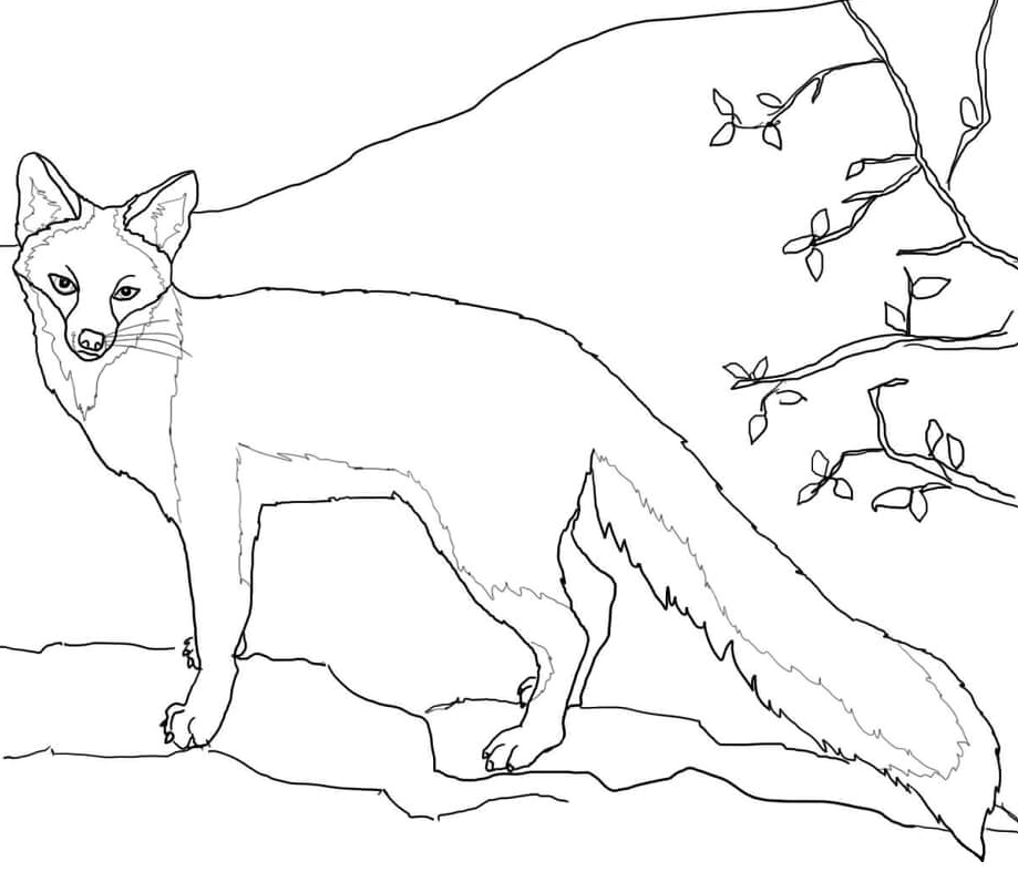 Tranh tô màu con cáo trên núi cao vút