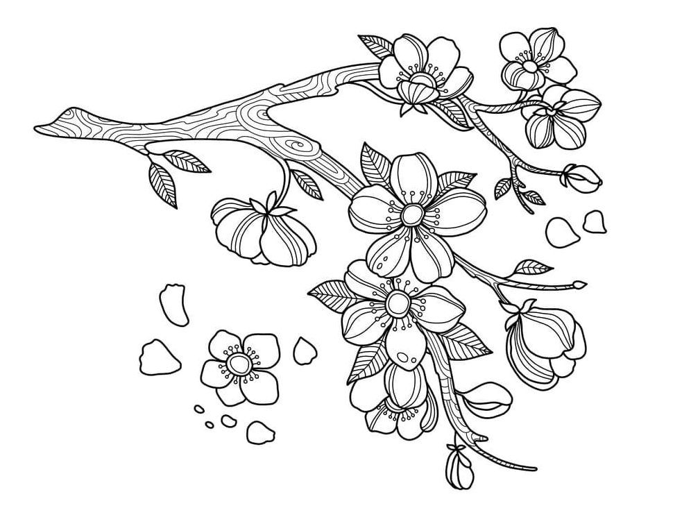 Tranh tô màu hoa đào nghệ thuật đường nét tinh tế