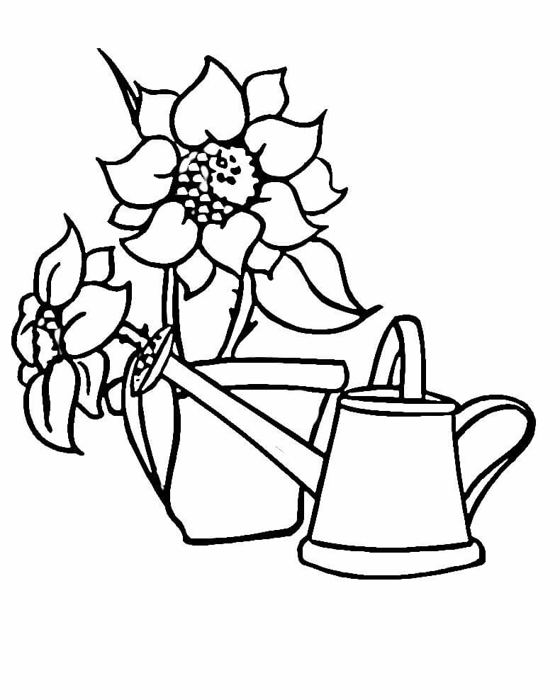 tranh tô màu hoa hướng dương và bình tưới