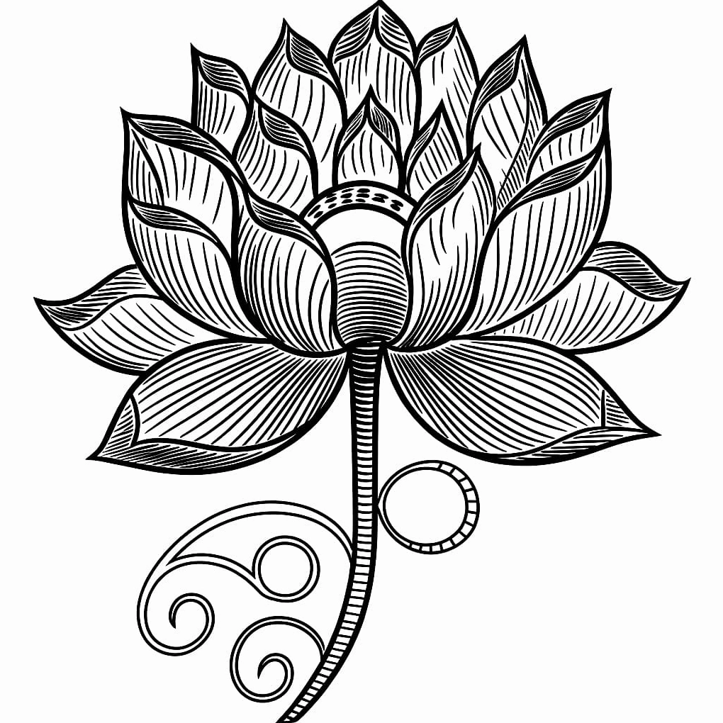 Tranh tô màu hoa sen cách điệu nghệ thuật