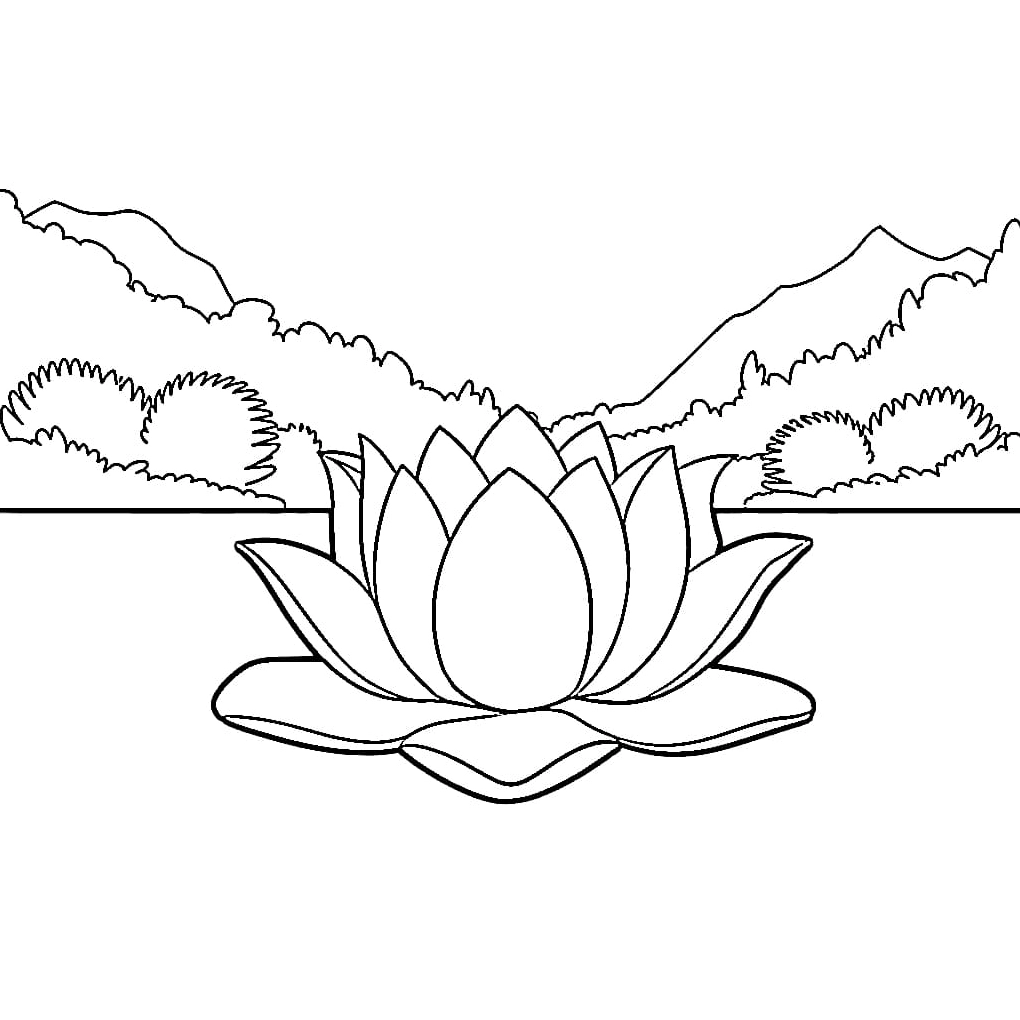 Tranh tô màu hoa sen lớn rực rỡ