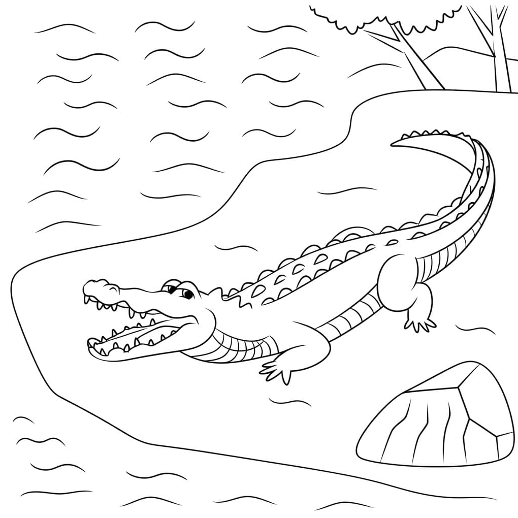 Tranh vẽ con cá sấu đơn giản cho bé mới tập tô màu