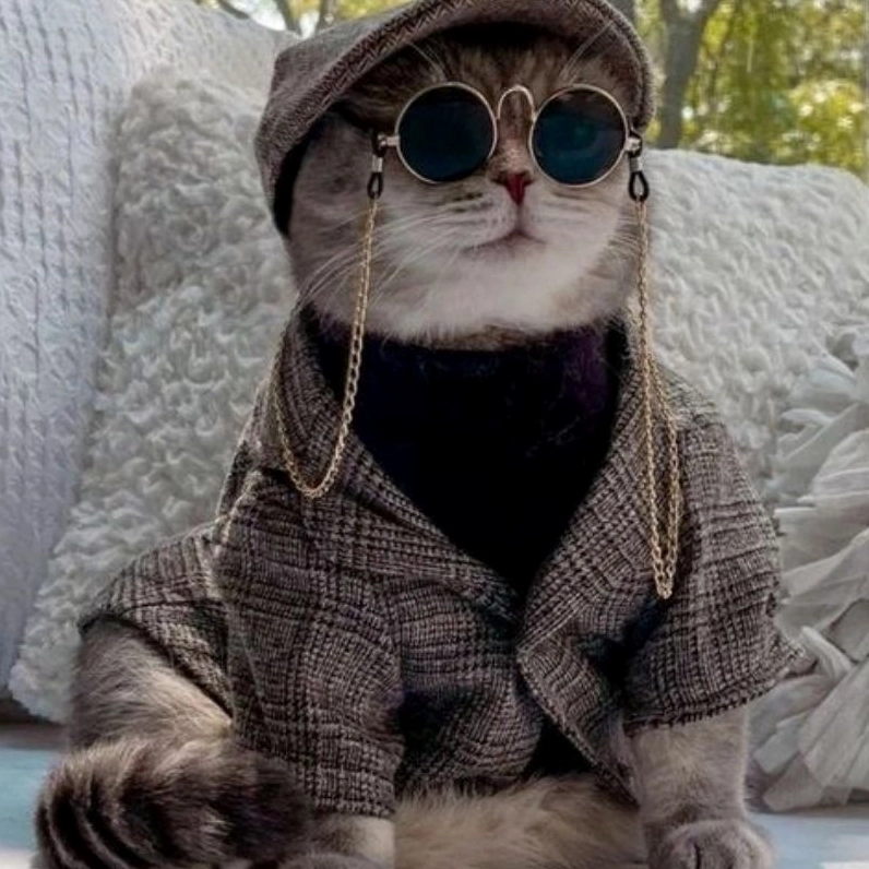 Tuyển tập mèo chi bi cute cho mọi nhà