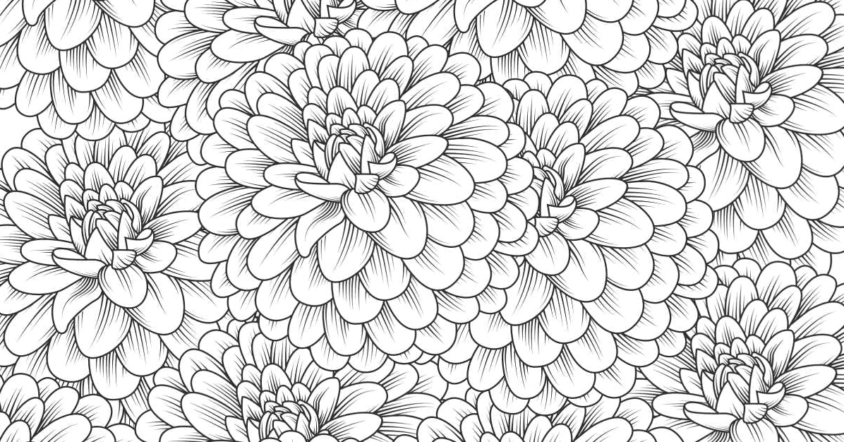 Vườn hoa cúc ngát hương qua lăng kính của bé