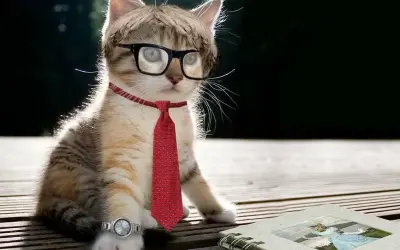 Tổng hợp avatar dễ thương cho mọi lứa tuổi, siêu dễ thương