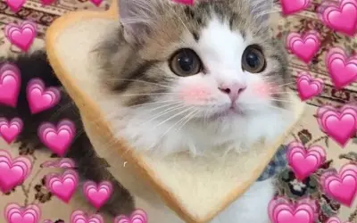 Những ảnh đại diện meme độc lạ khiến dân mạng mê mẩn