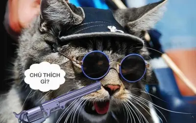 Bộ ảnh meme hài hước khó đỡ hot nhất mạng xã hội hiện nay