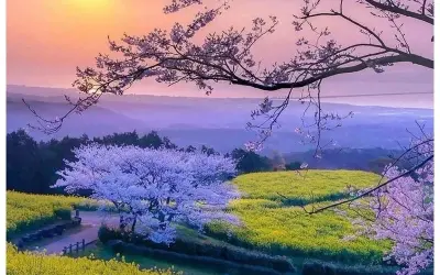 Top avatar thiên nhiên đẹp nhất để thay đổi diện mạo