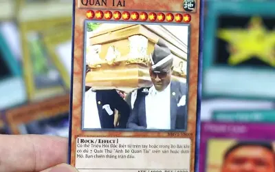 Tổng hợp bài meme độc đáo siêu dễ thương và hài hước