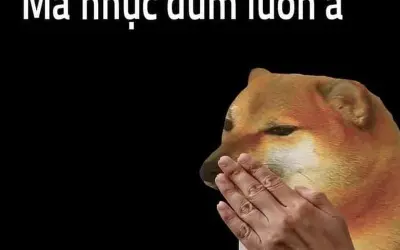 Cười nghiêng ngả với loạt con chó meme cực bá đạo